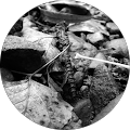Shyann H. Avatar